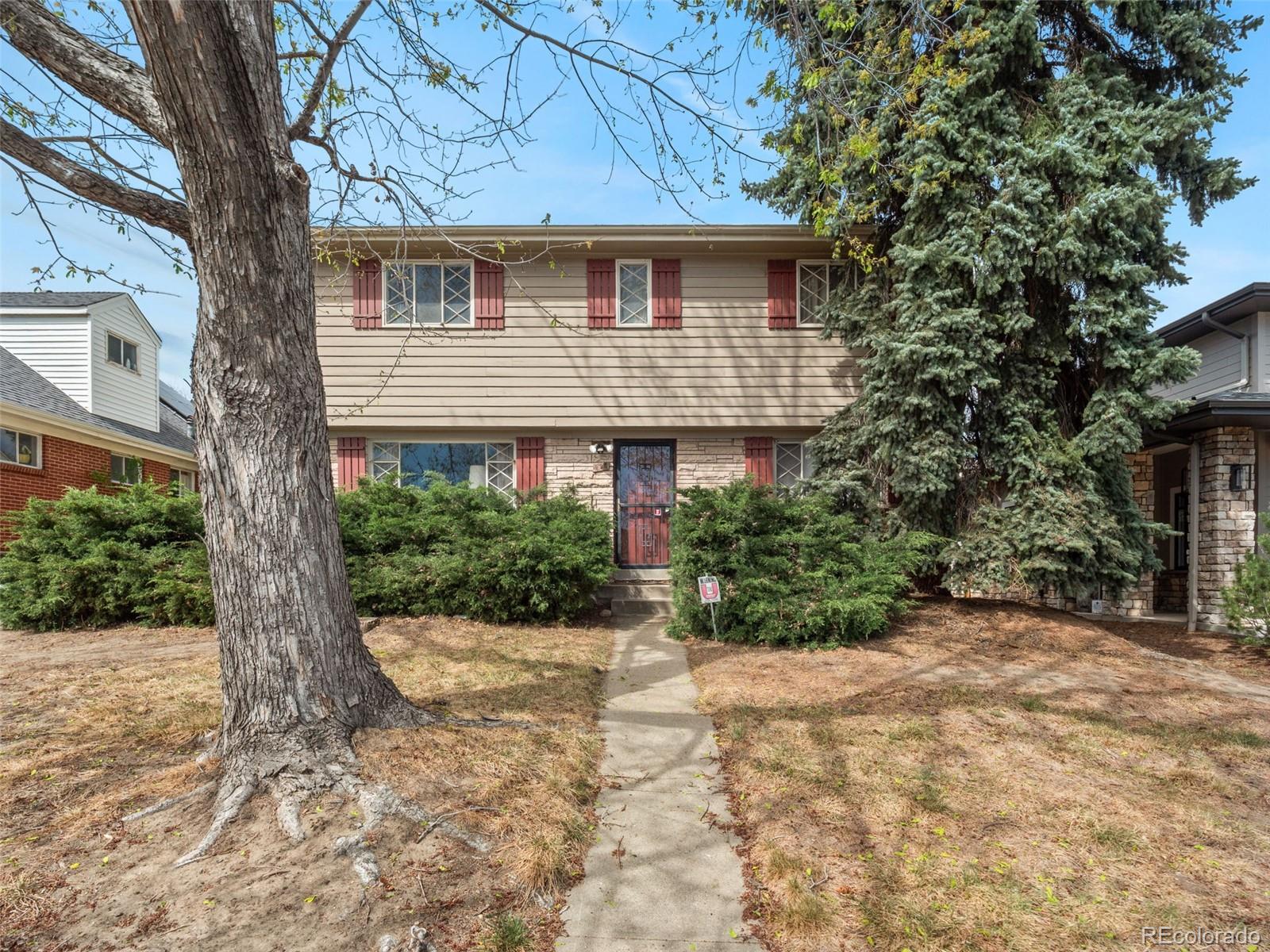 Real Estate Photo