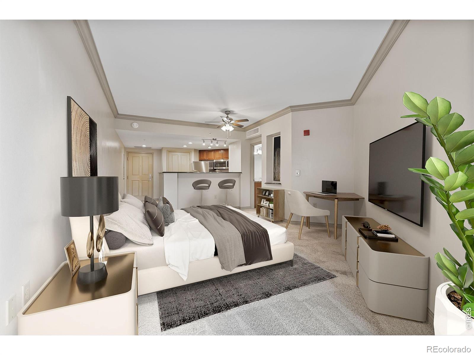 Real Estate Photo