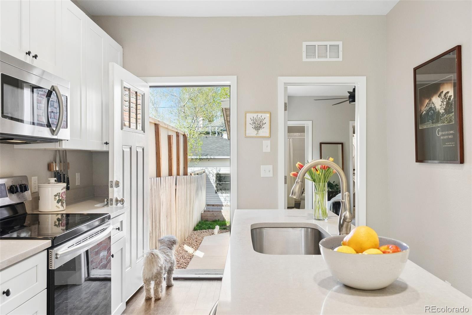 Real Estate Photo