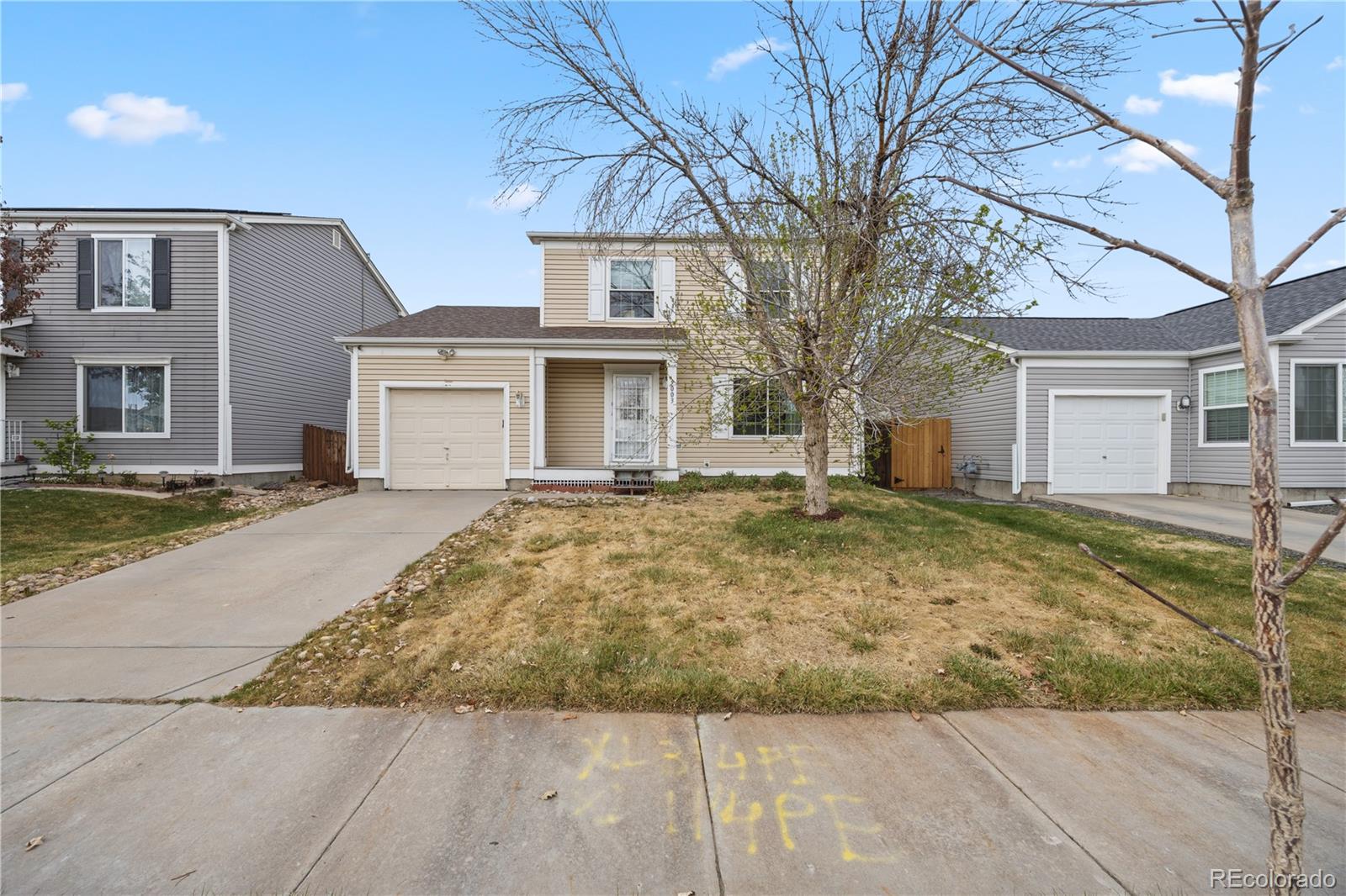 Real Estate Photo