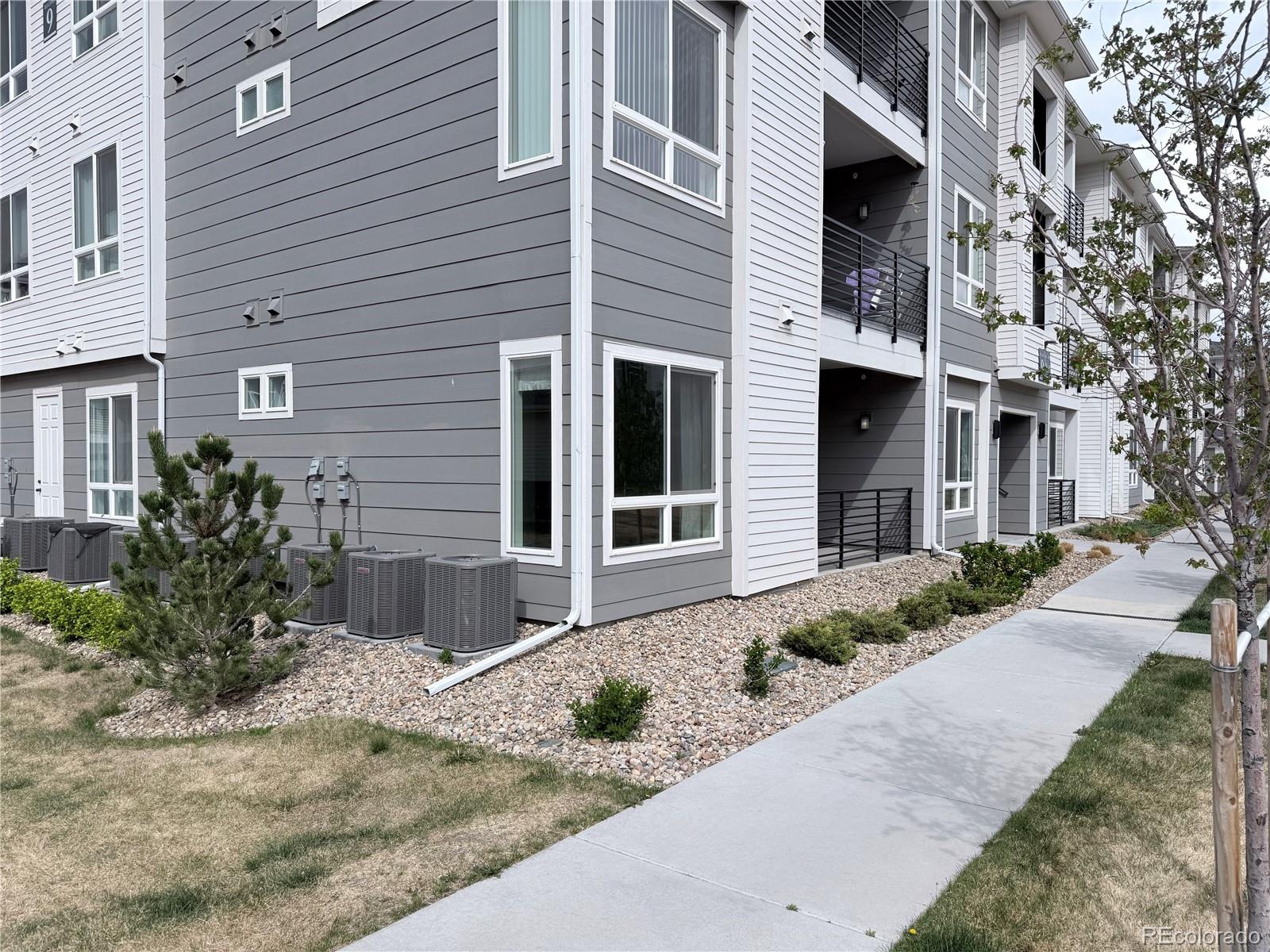 Real Estate Photo
