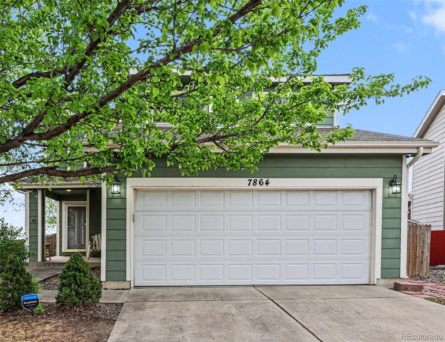 Real Estate Photo