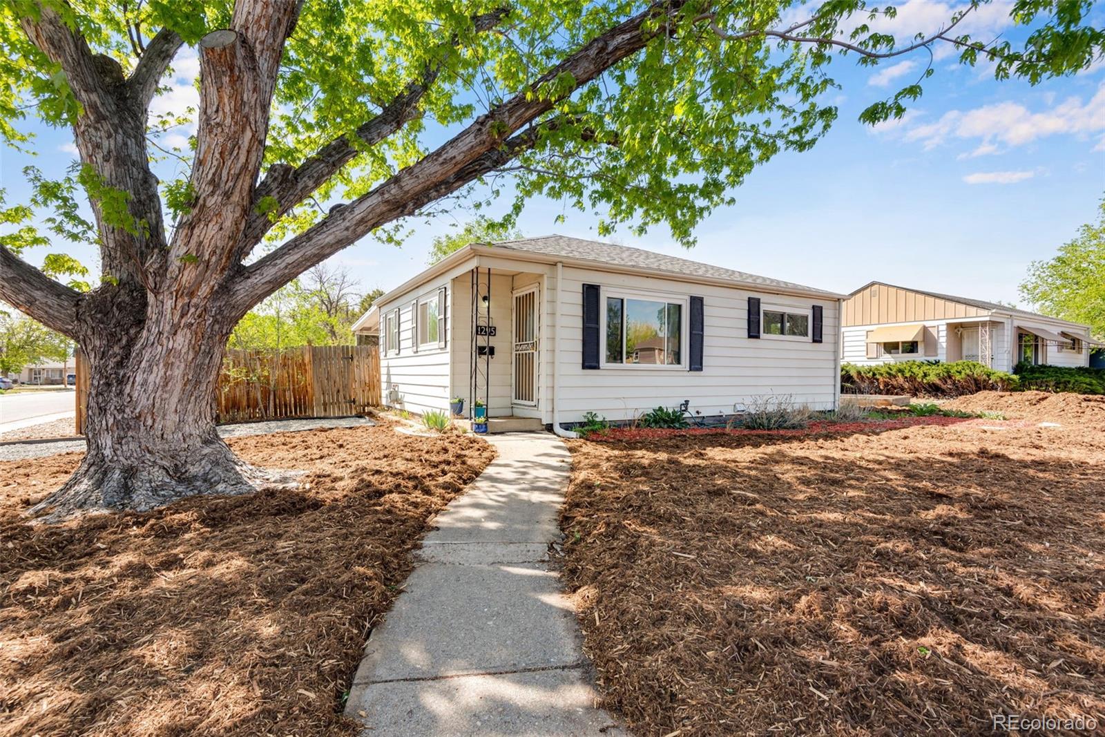Real Estate Photo