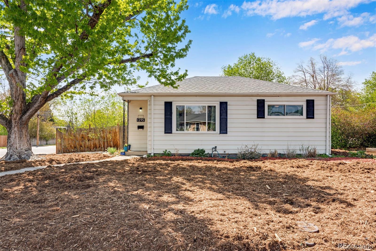 Real Estate Photo