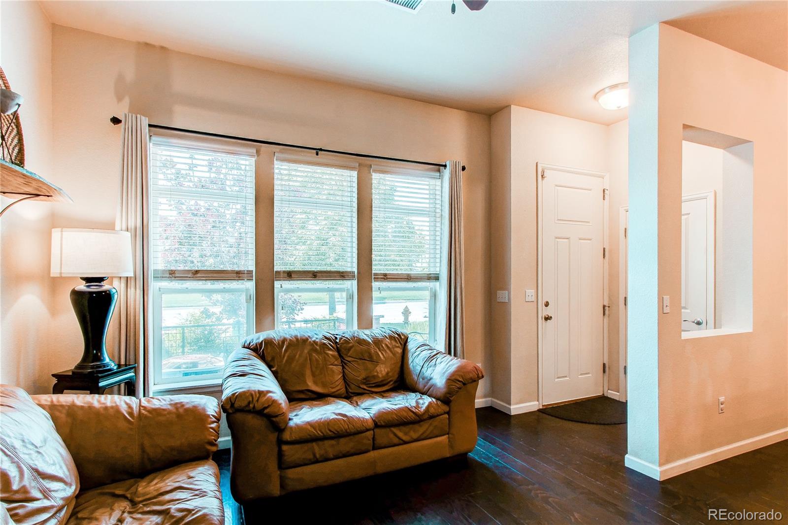 Real Estate Photo