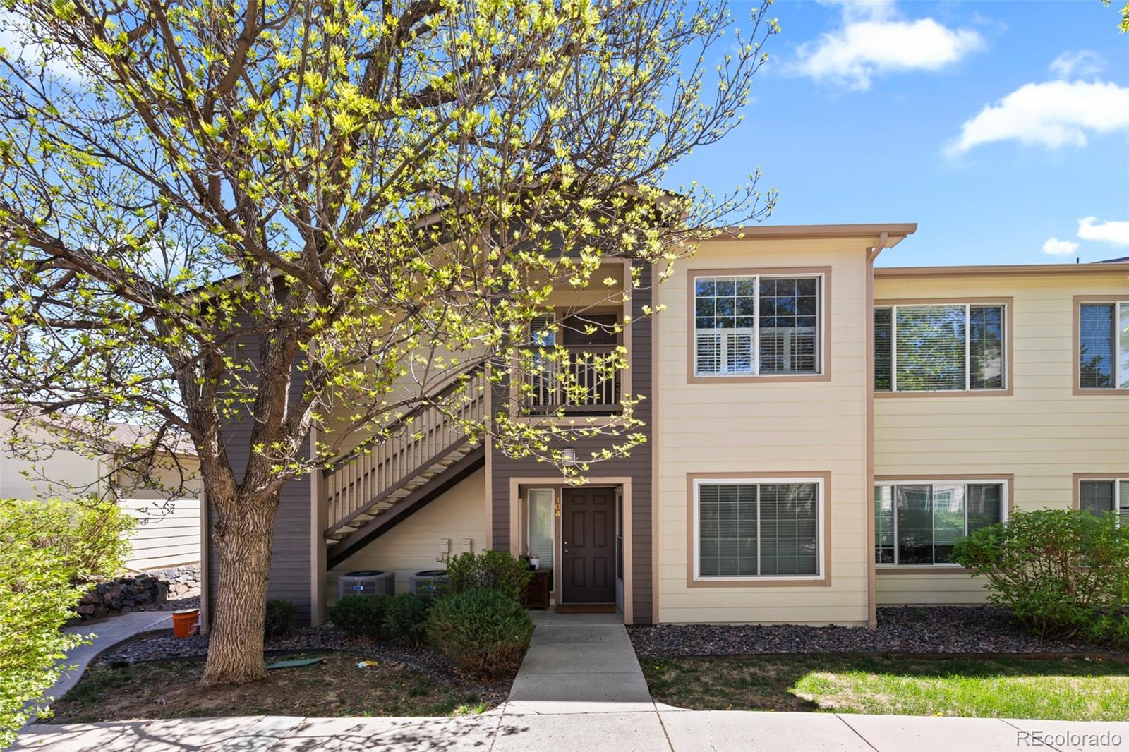 Real Estate Photo