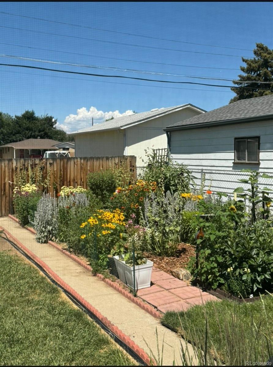 Real Estate Photo