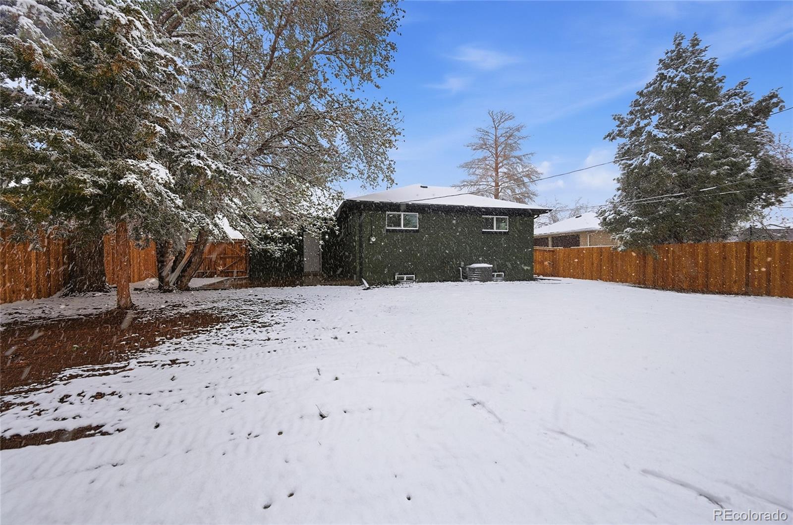 Real Estate Photo