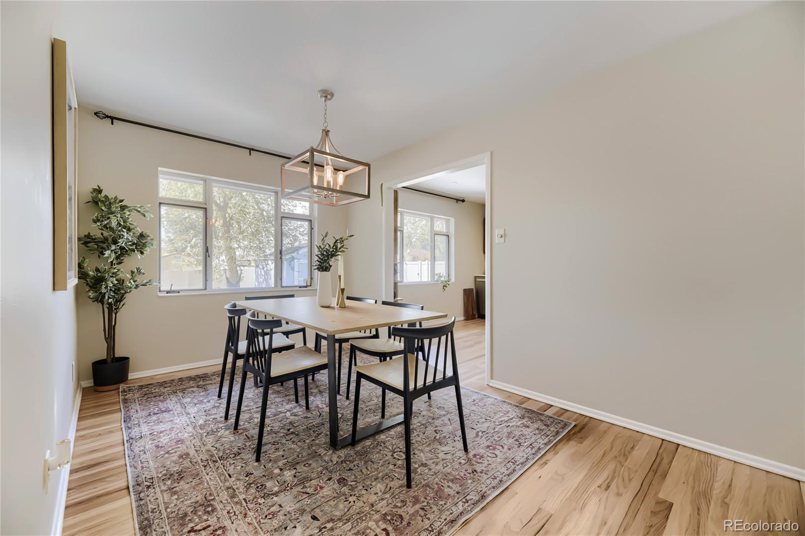 Real Estate Photo