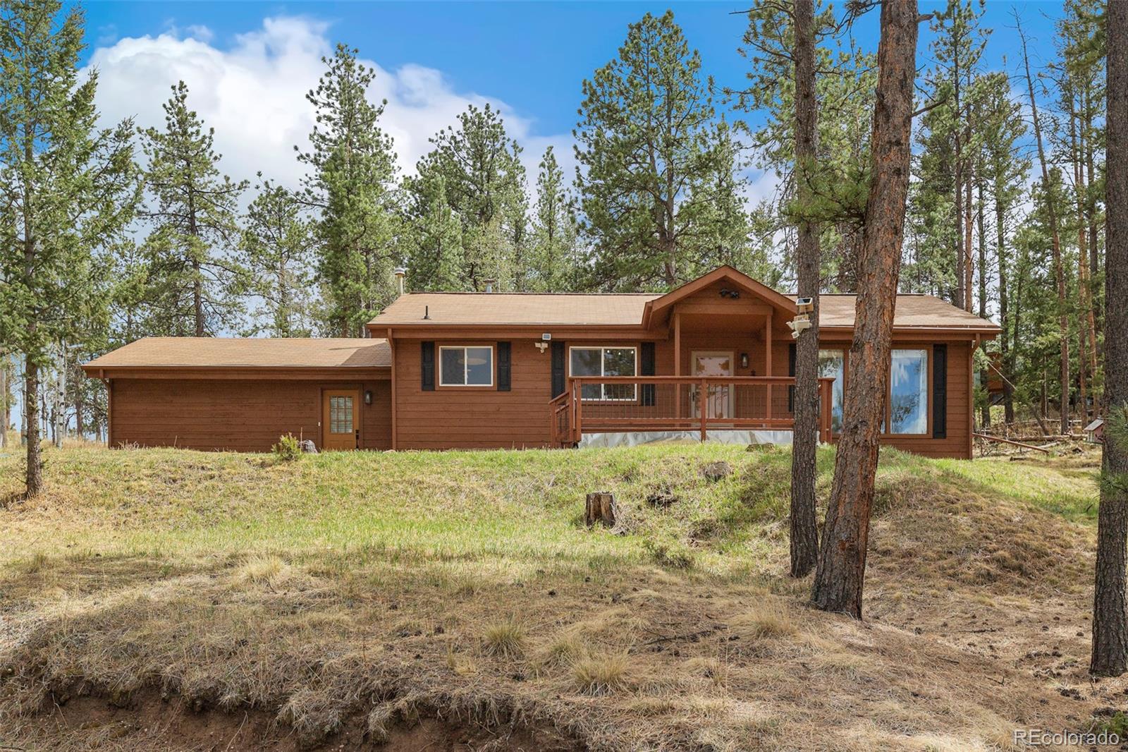 Real Estate Photo