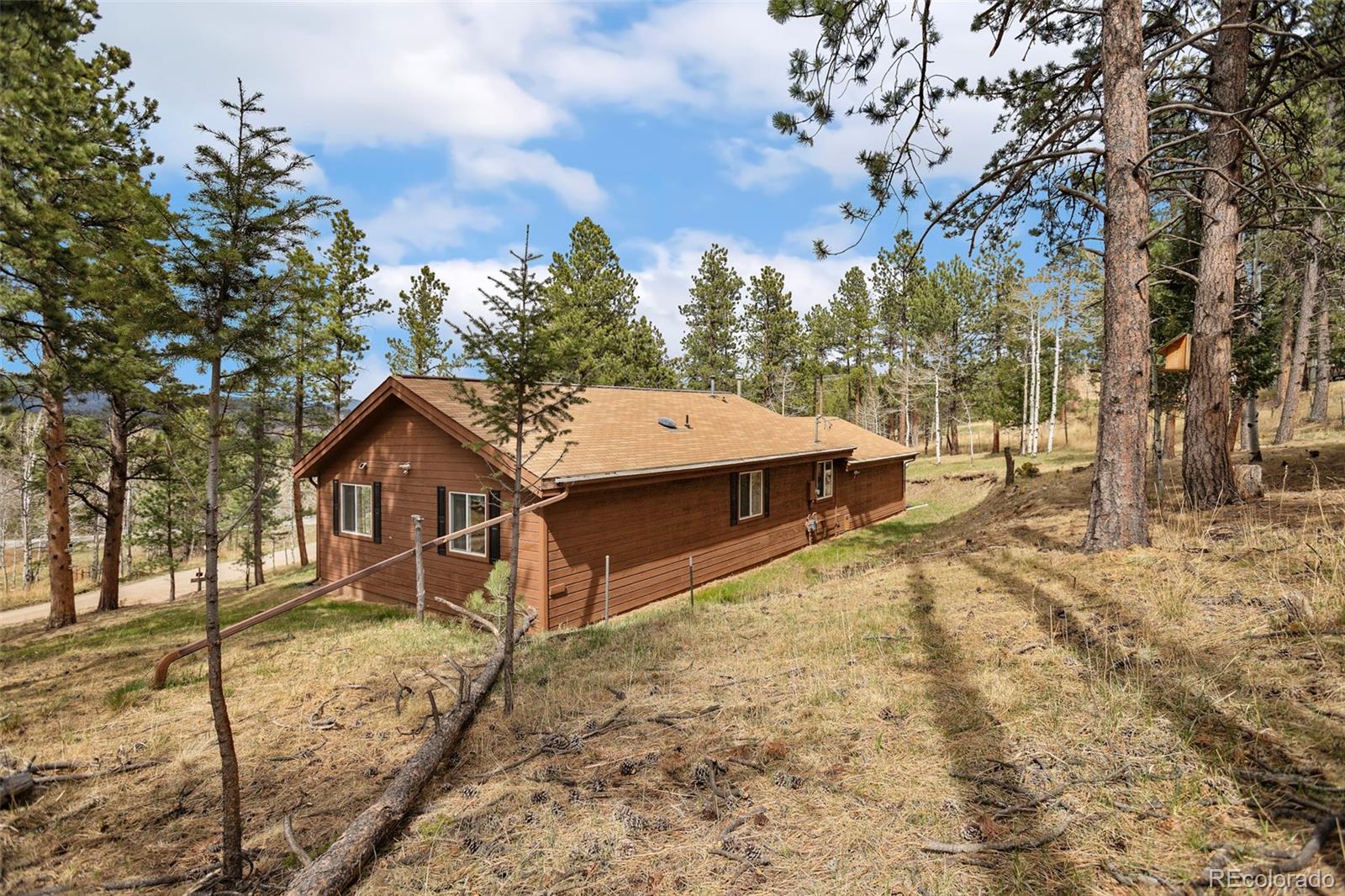 Real Estate Photo