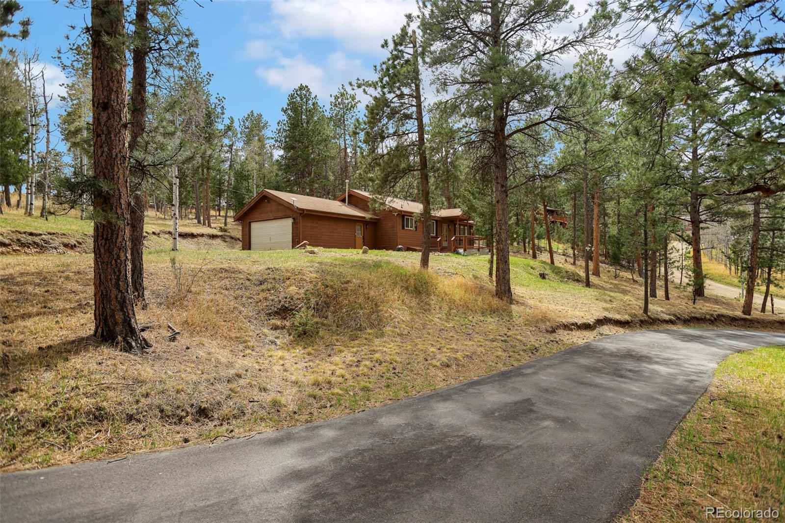 Real Estate Photo