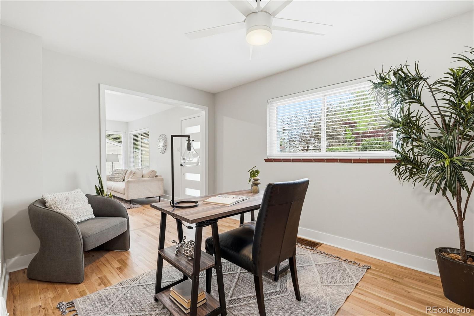 Real Estate Photo