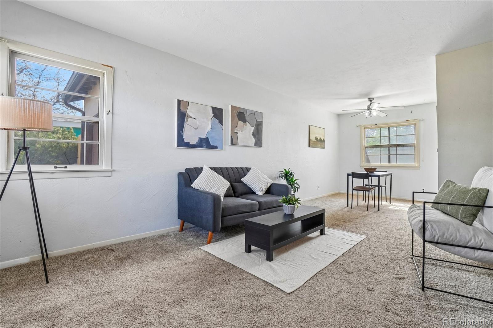 Real Estate Photo