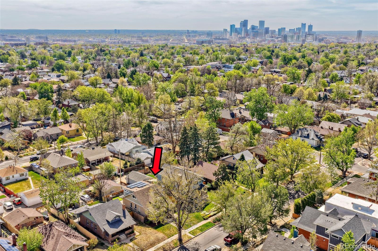 Real Estate Photo