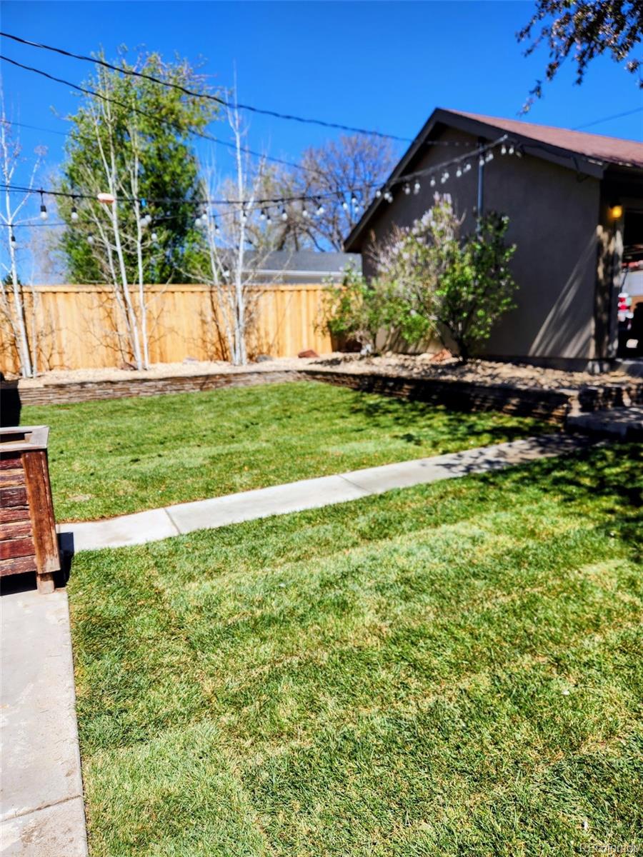 Real Estate Photo