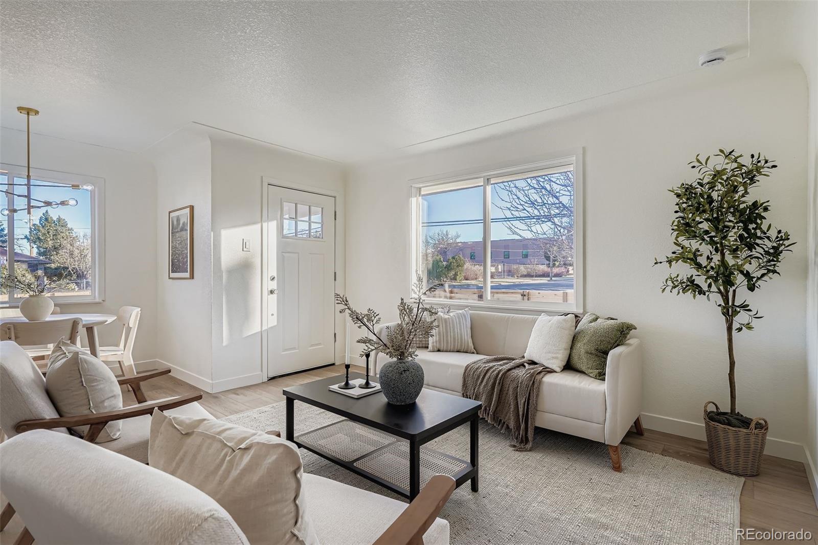 Real Estate Photo