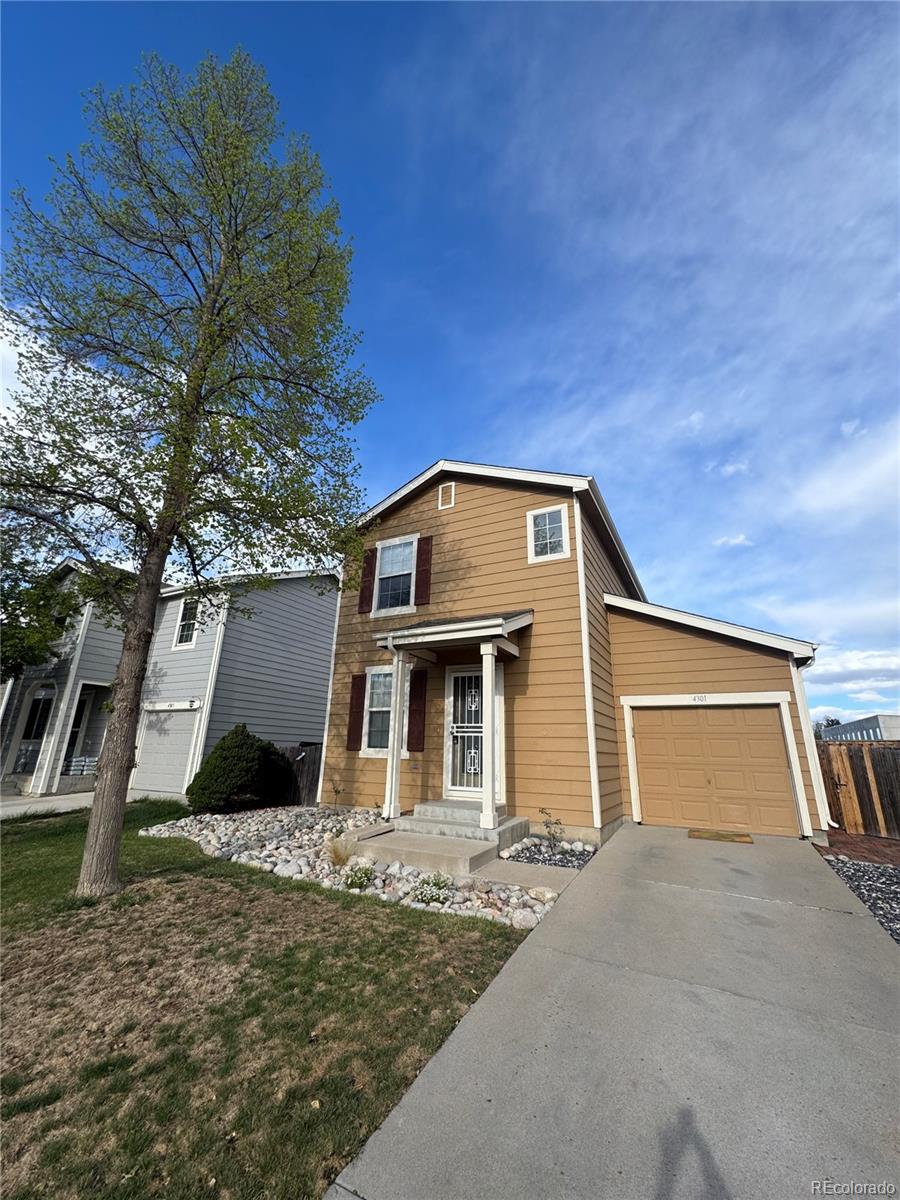 Real Estate Photo