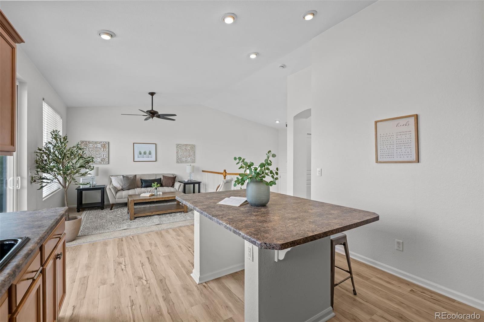 Real Estate Photo
