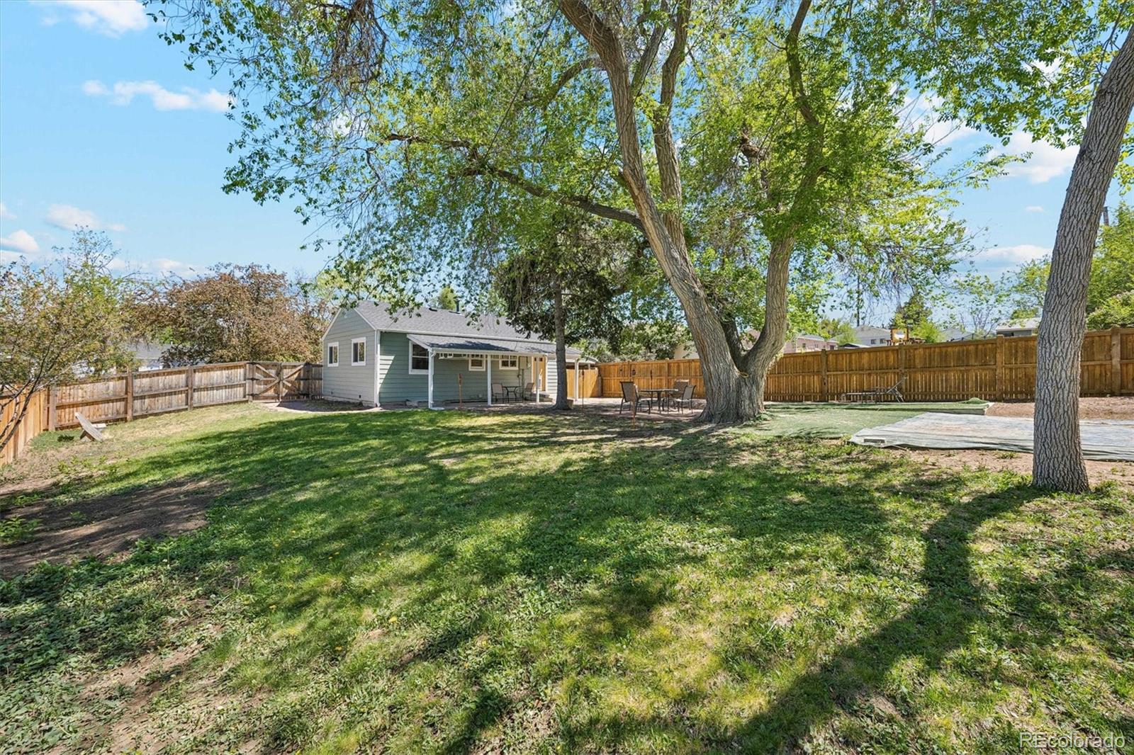 Real Estate Photo