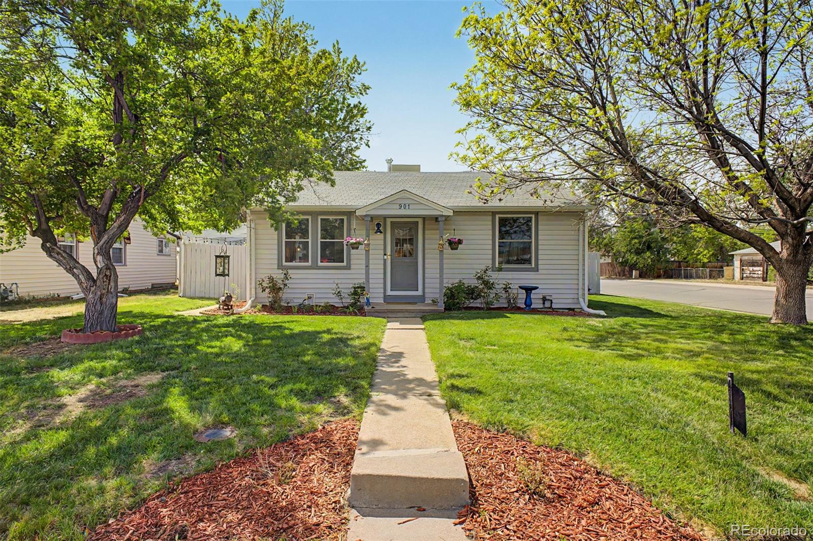 Real Estate Photo