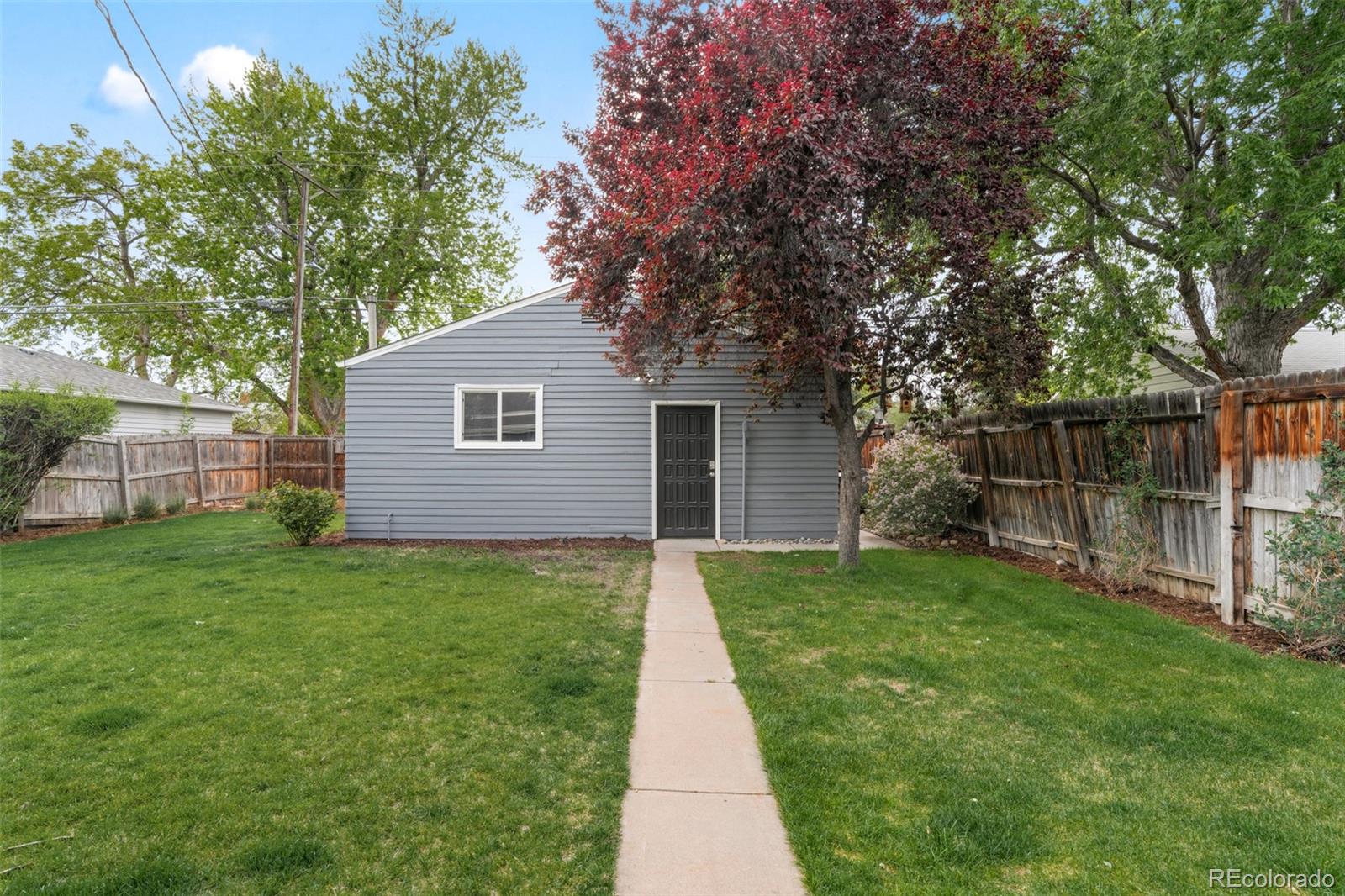 Real Estate Photo