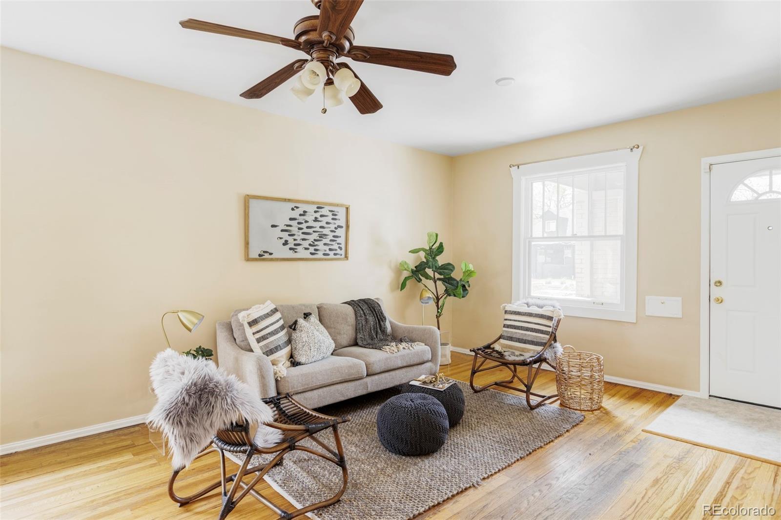 Real Estate Photo