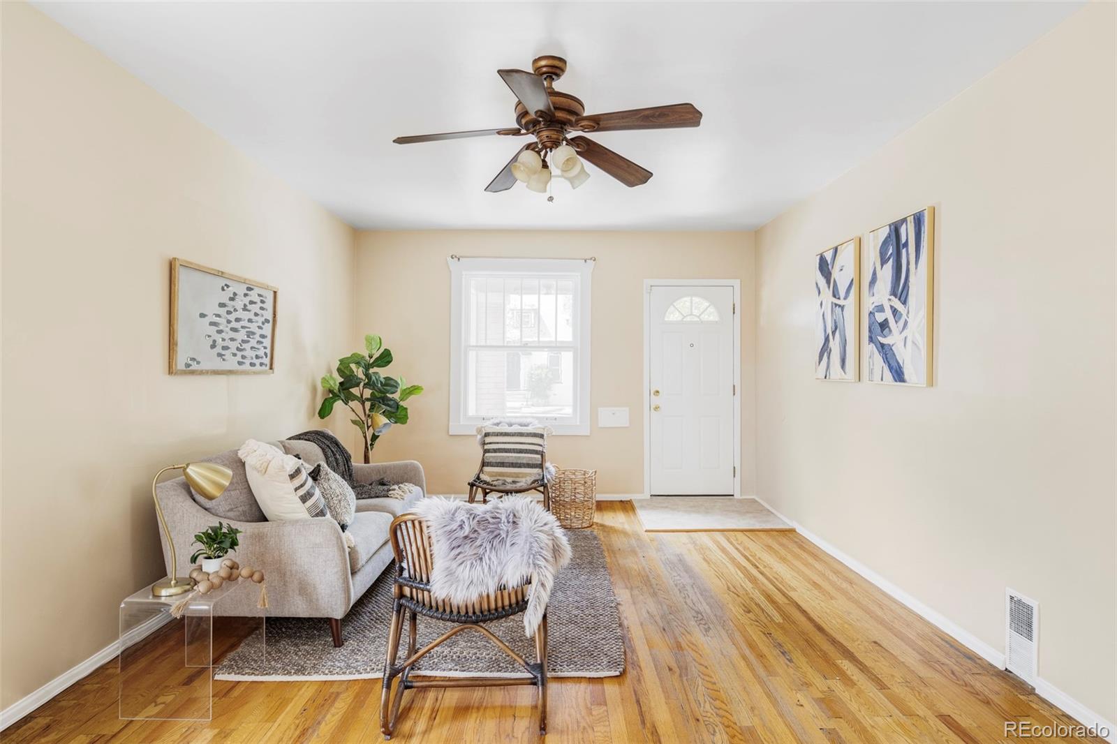 Real Estate Photo