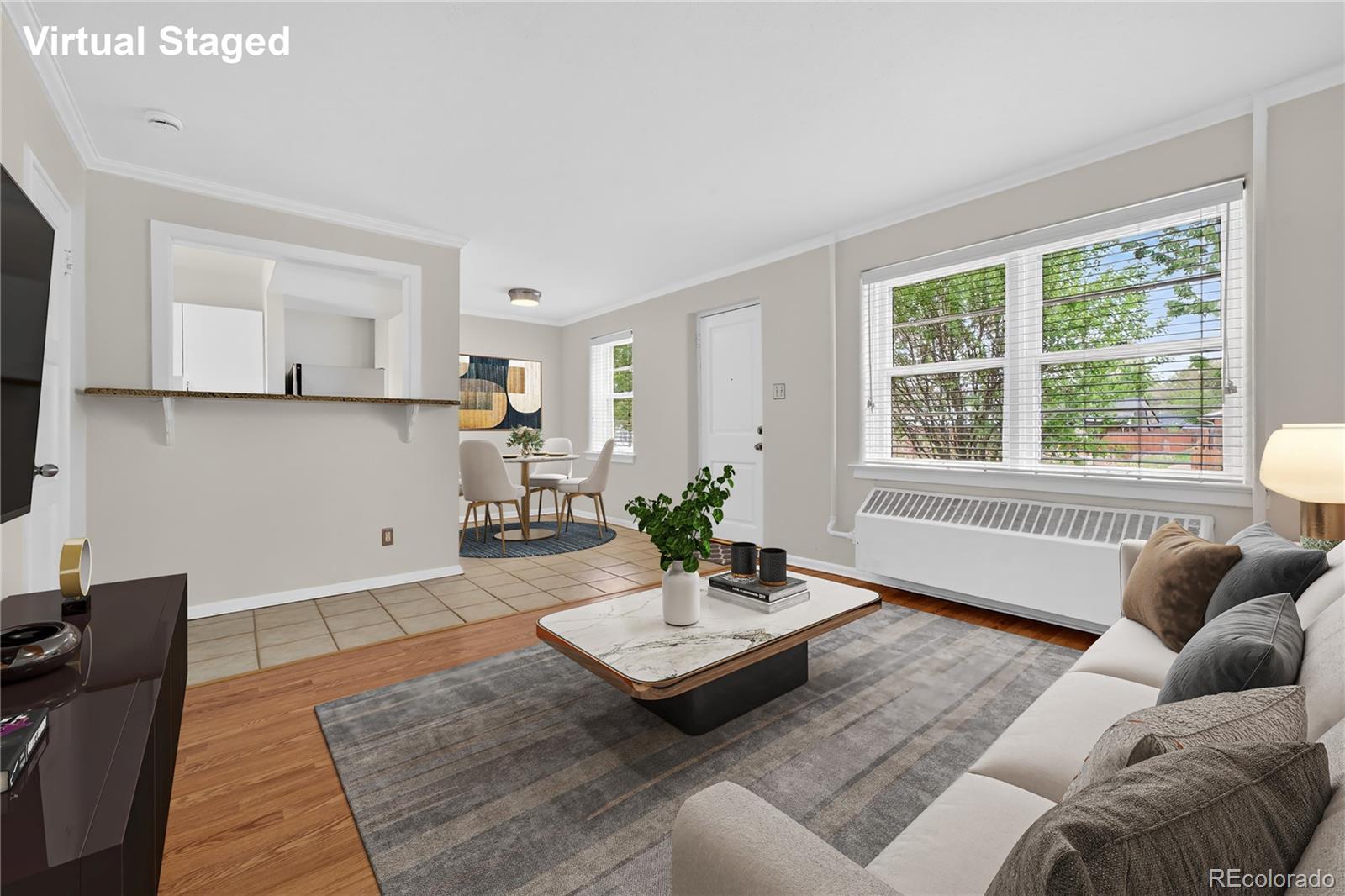 Real Estate Photo