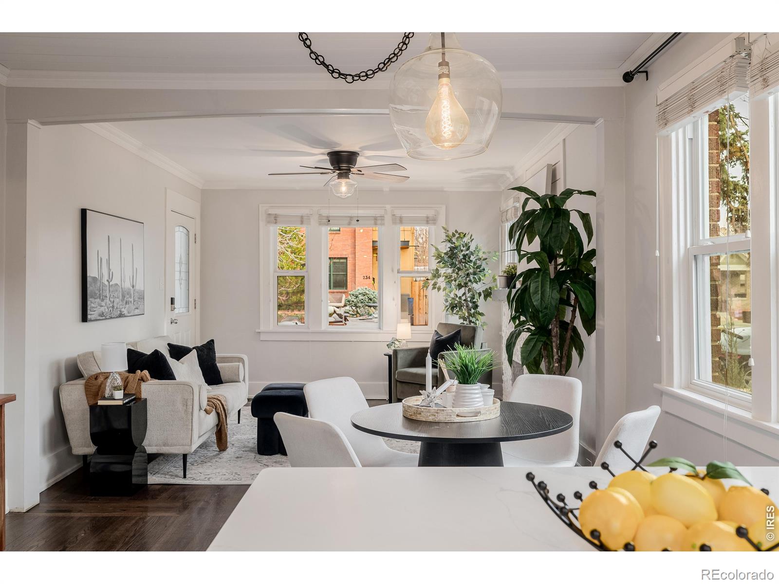 Real Estate Photo
