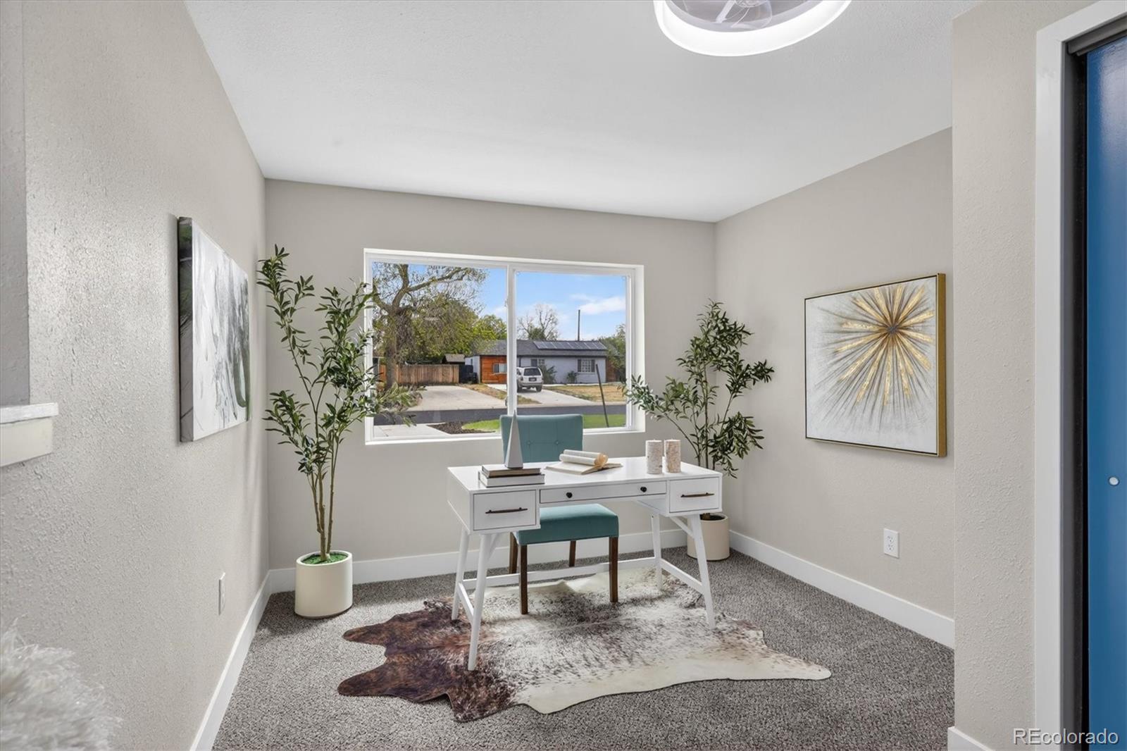 Real Estate Photo