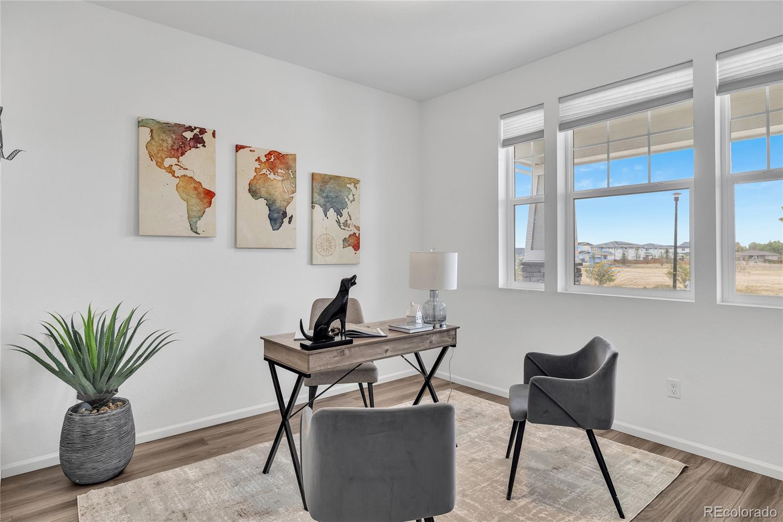 Real Estate Photo