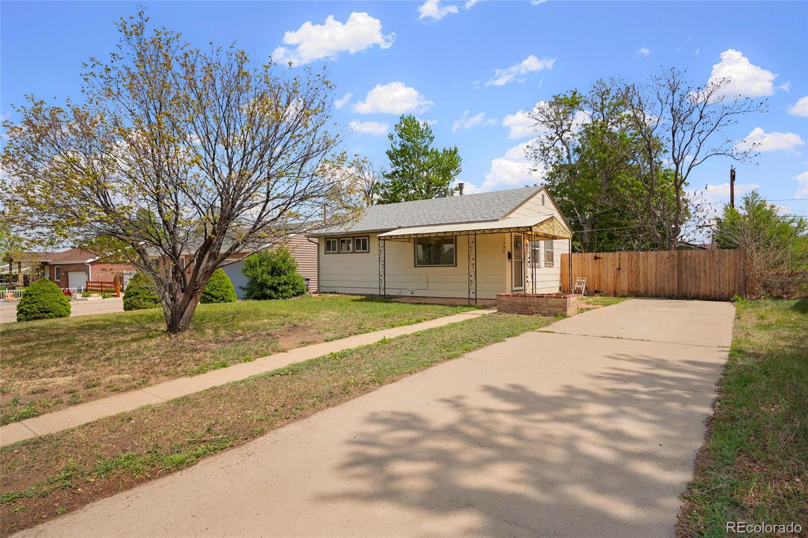Real Estate Photo