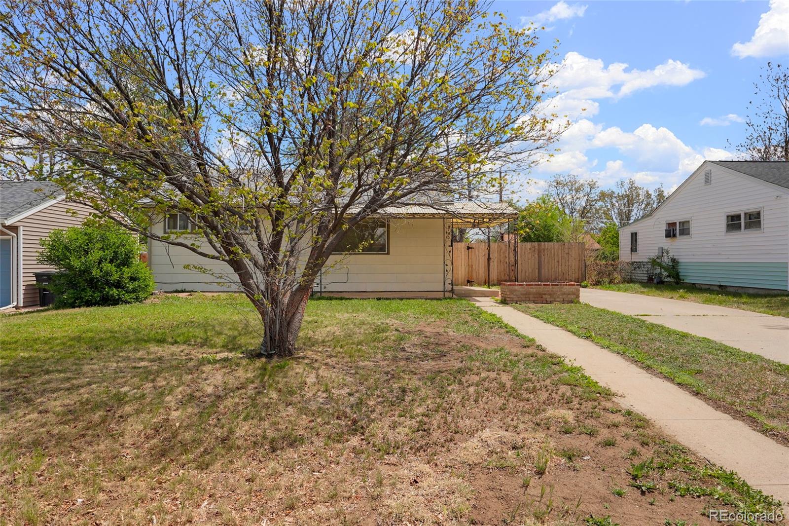 Real Estate Photo