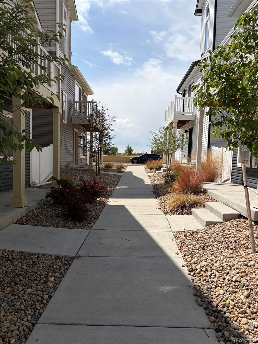 Real Estate Photo