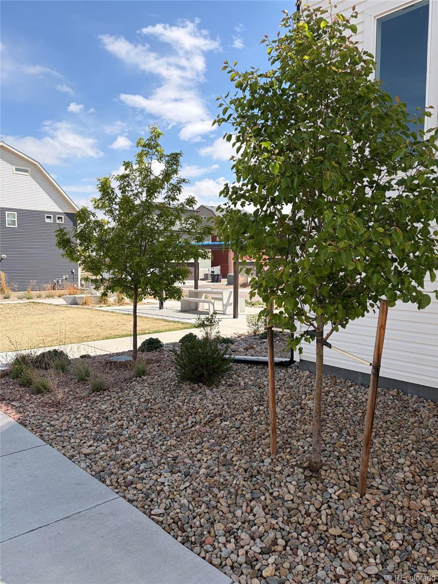 Real Estate Photo
