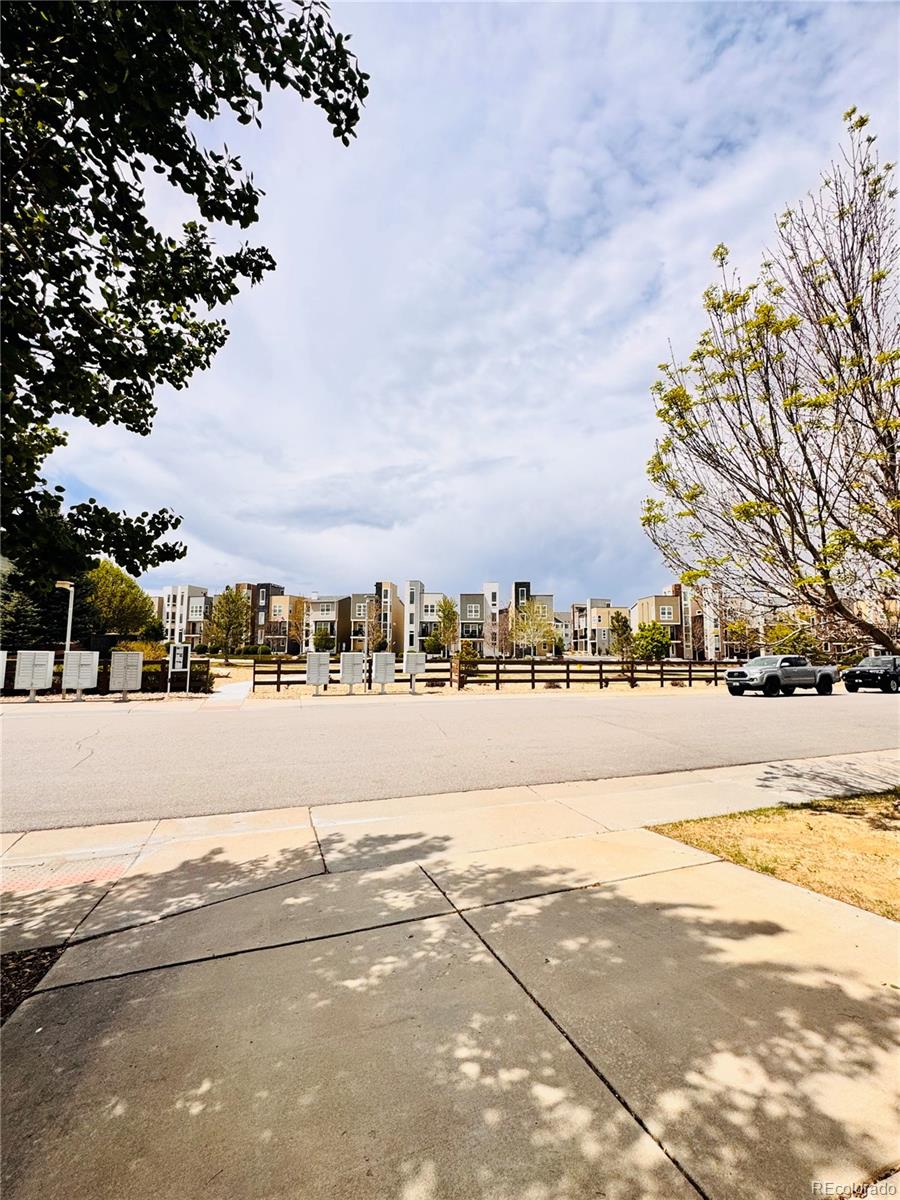 Real Estate Photo