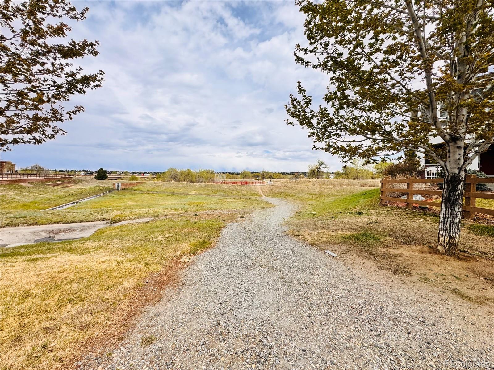 Real Estate Photo