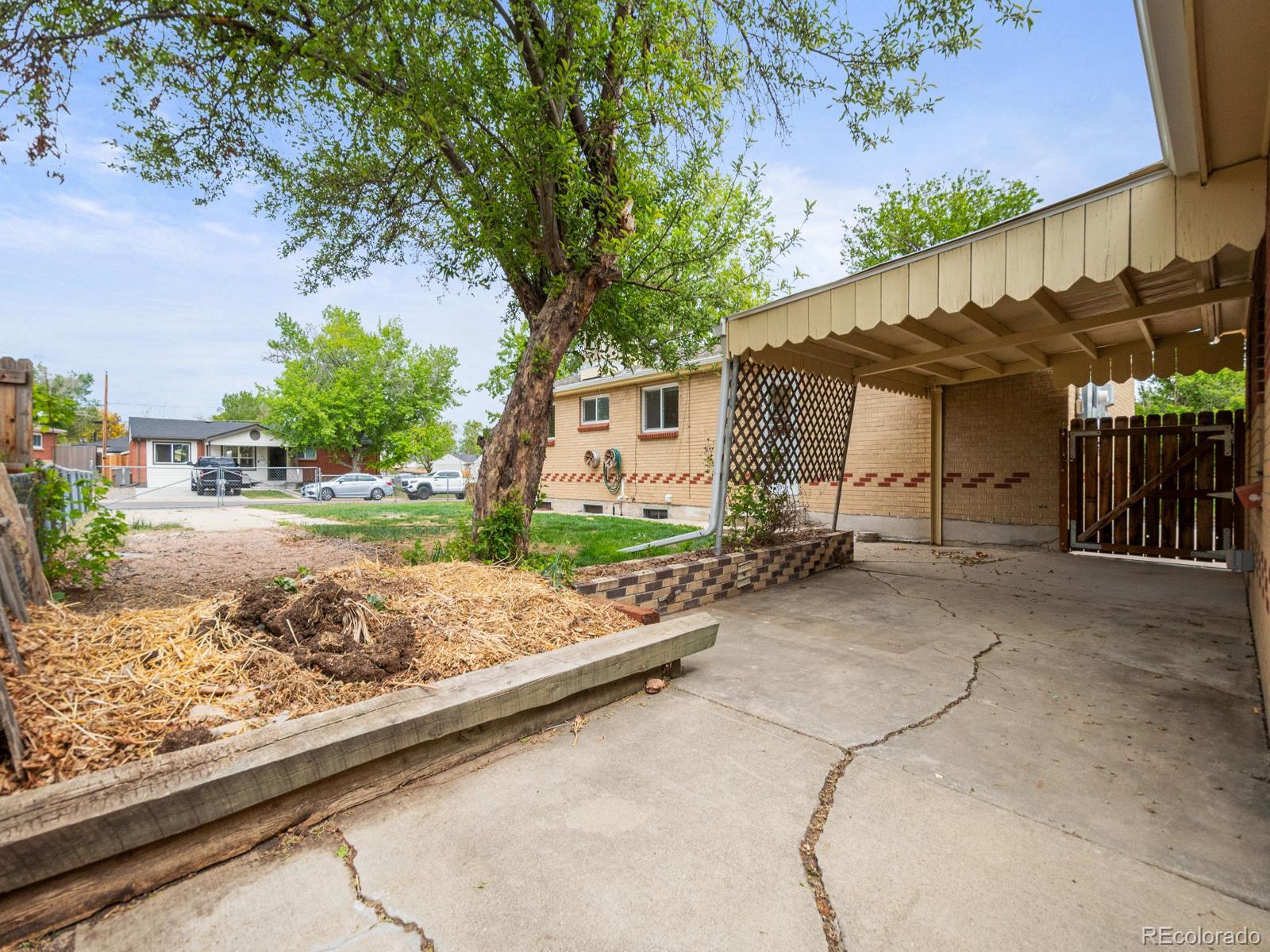 Real Estate Photo