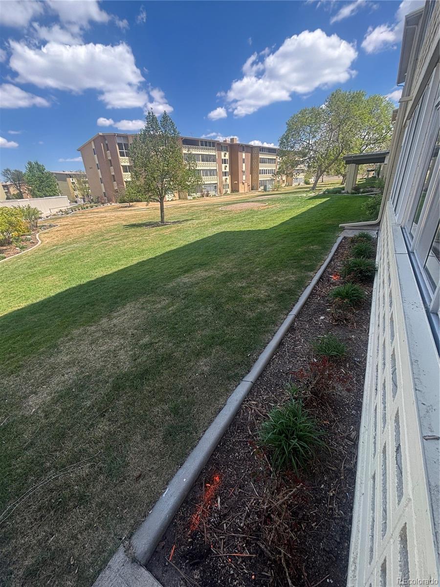 Real Estate Photo