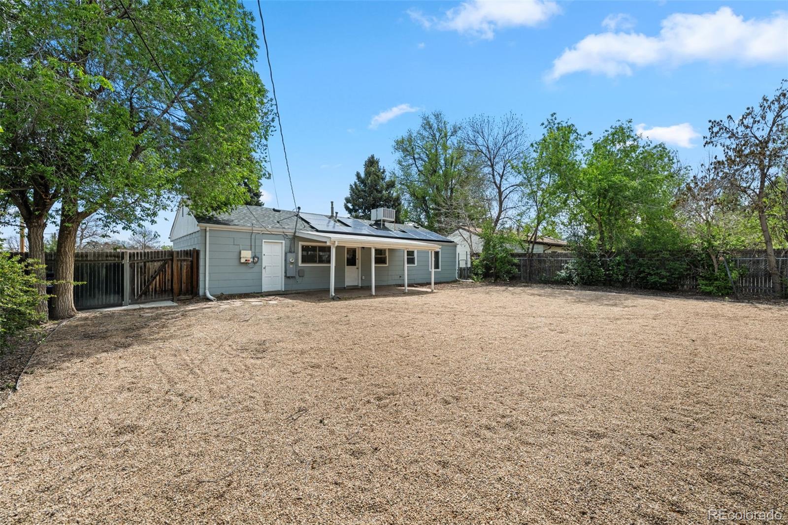 Real Estate Photo
