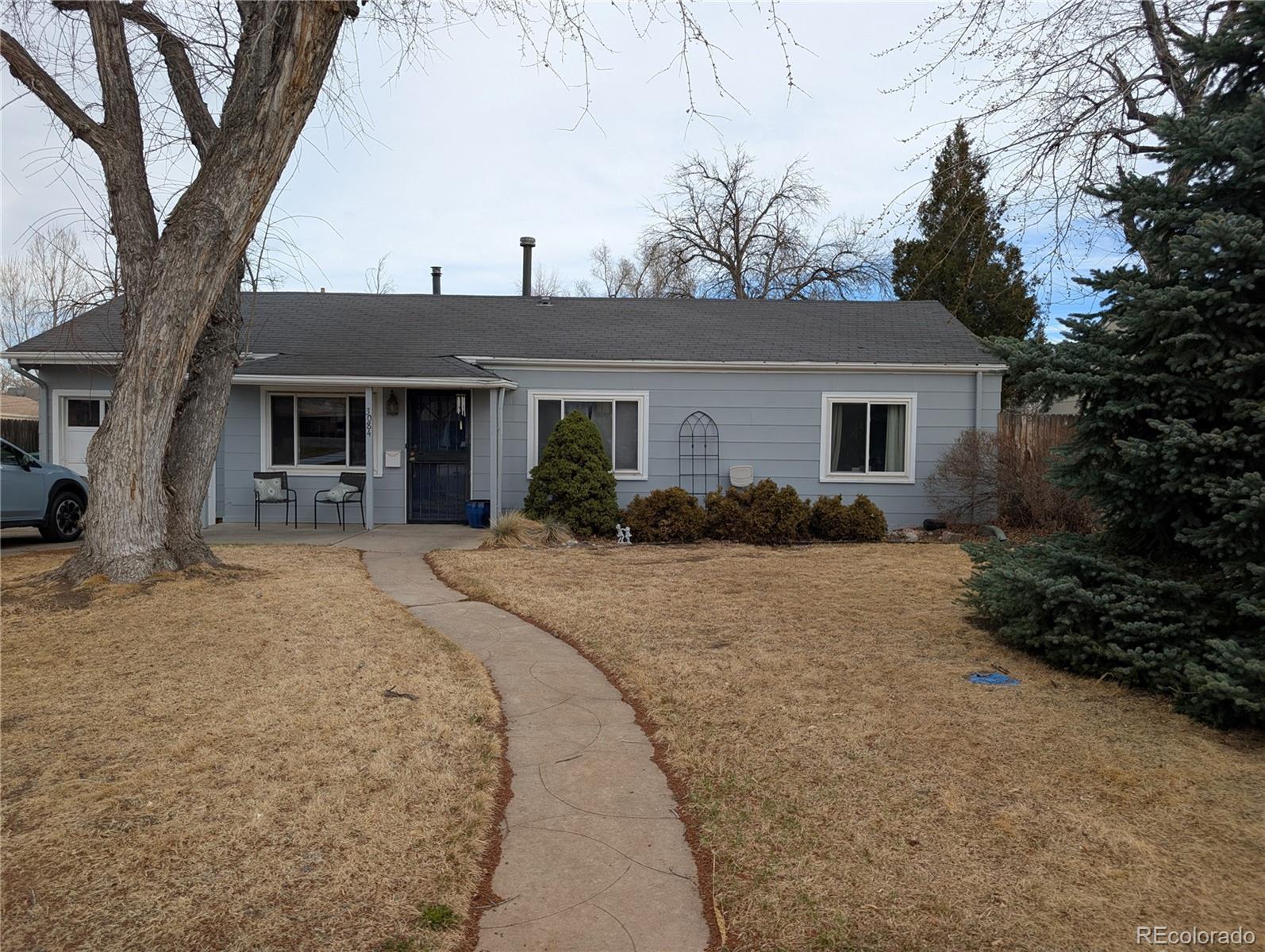 Real Estate Photo