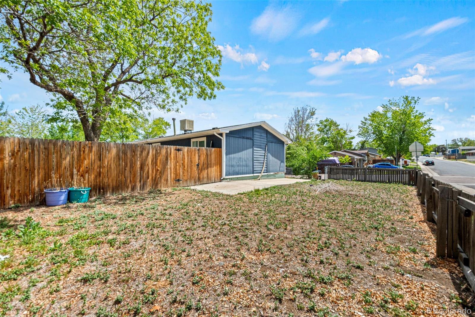 Real Estate Photo
